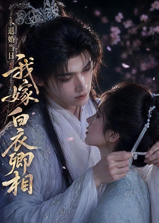 退婚当日我嫁白衣卿相海报