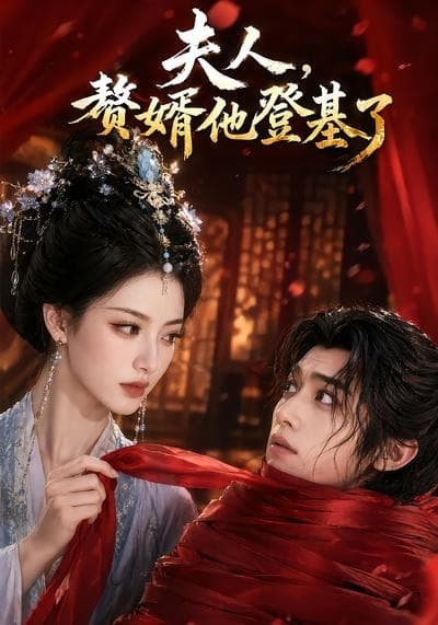 夫人，赘婿他登基了海报