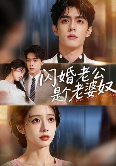 闪婚老公是个老婆奴海报