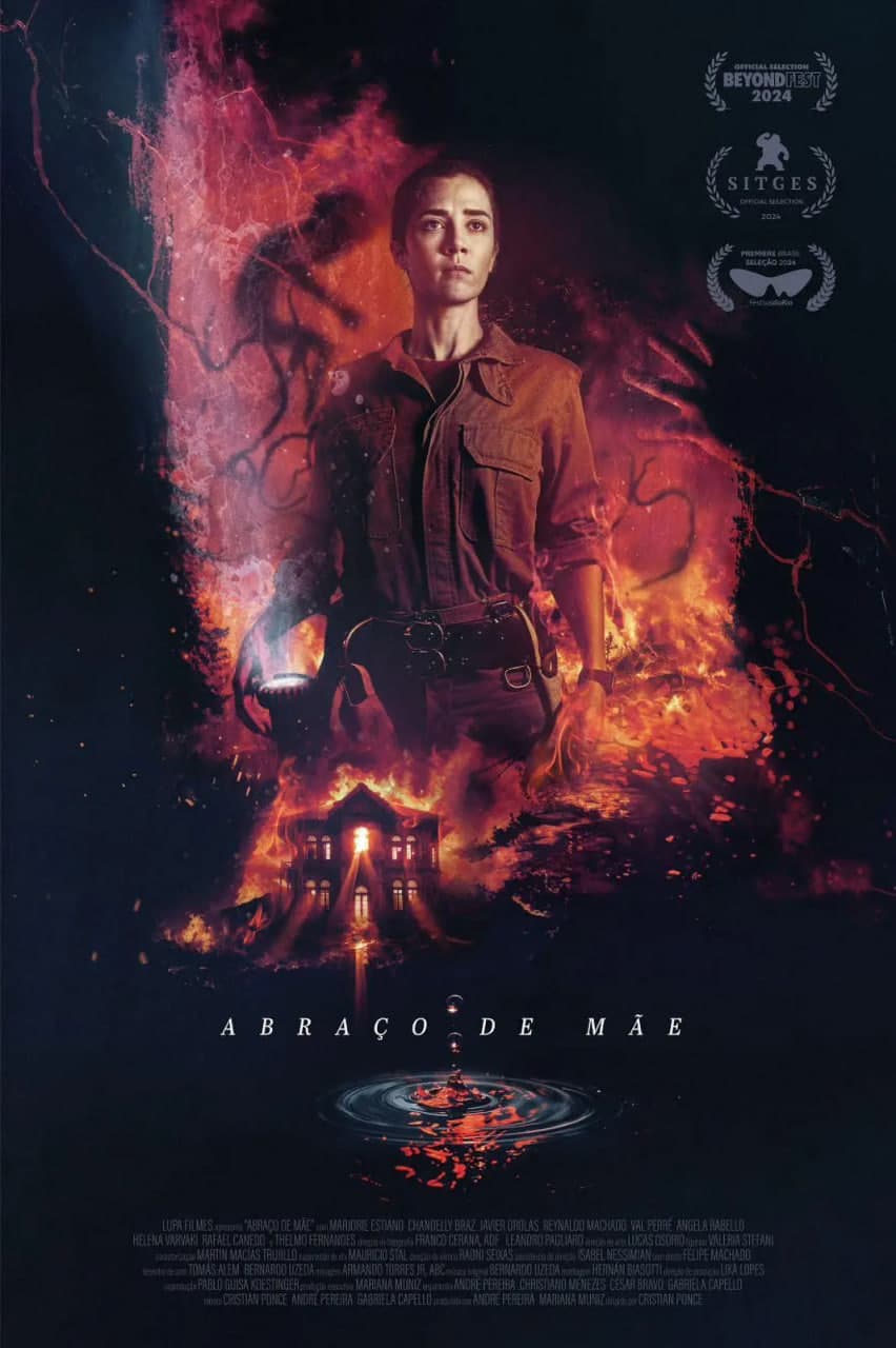 母亲的拥抱海报