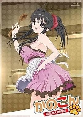 我的狐仙女友：真夏的大谢肉祭·上海报