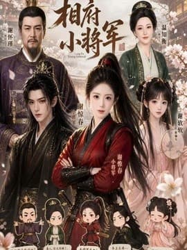 相府小将军海报
